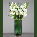 Modern Art Hunter Green Terrarium Glass Vase with Gold Pedestal Trim | Luxury Nordic Glass Vase for Hydroponics - AllureAbode Décor 